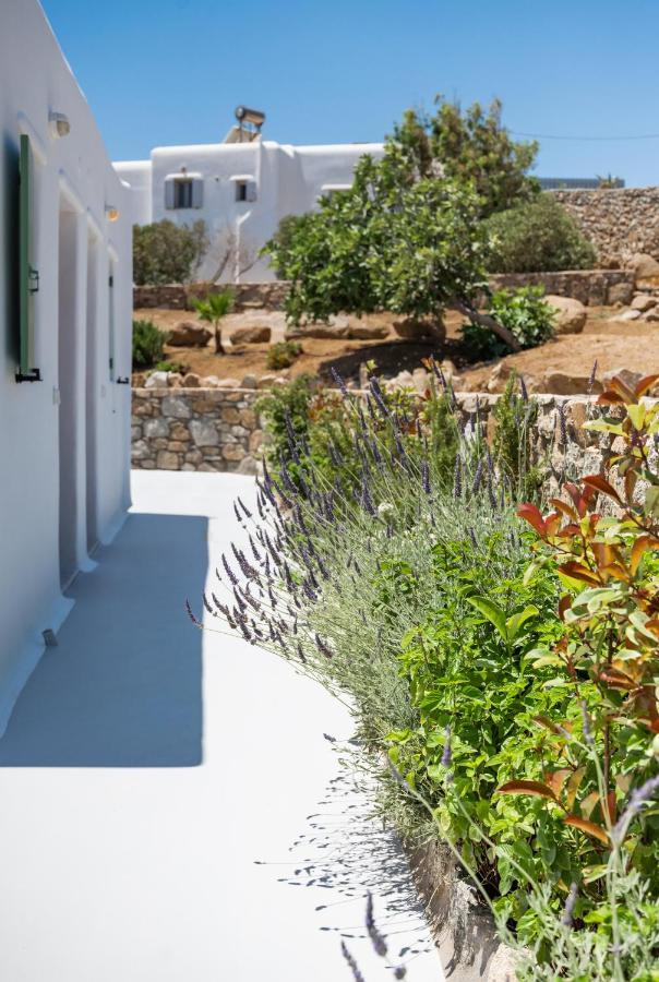 Dioni Villa Mykonos Paraga  Eksteriør billede